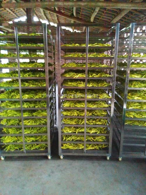 黃花菜烘干機(jī)、黃花菜烘干設(shè)備、黃花菜干燥機(jī)、黃花菜干燥設(shè)備、